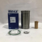 Поршнегруппа d127 Scania DS11.01/02/14/15/18 DSC11.01 Mahle/Knecht 0613592