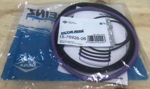 Комплект уплотнительных колец гильзы Volvo FH/FM D13/D12A/C VICTOR REINZ 157692606