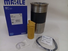 Поршнегруппа D2876 LE124/LF12/13/25/LOH20/21/LUE621/623/631/633 Mahle/Knecht 2291490