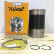 Поршнегруппа d135 Iveco Cursor13 F3BE0681 A/B/C/E/F/G Euro 3 EuroTrakker/Stralis NURAL 8972883STD